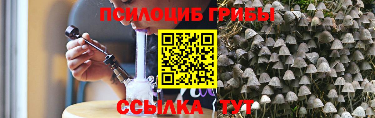 Галлюциногенные грибы Cubensis Люберцы